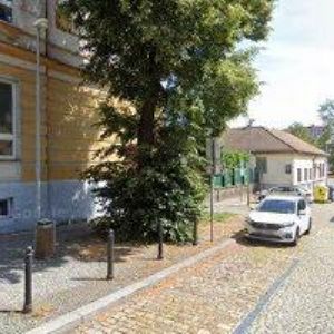 obrazek: avatar ZUŠ Prosek