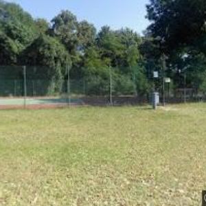 obrazek: avatar MŠ,ZŠ Bártlova