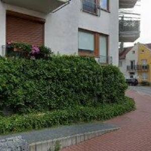 obrazek: avatar SOUKROMÉ SOU ATHOZ, spol. s r.o.