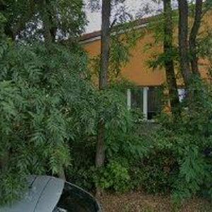 obrazek: avatar MŠ ALŠOVY SADY