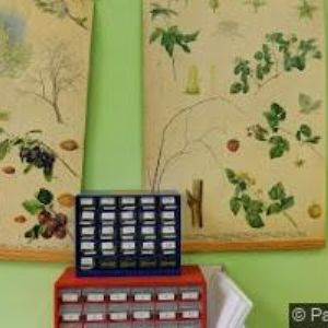 obrazek: avatar KRÁLOVSKÁ MATEŘSKÁ ŠKOLA s.r.o.