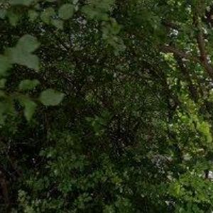 obrazek: avatar AGENTURA PANCÉŘ s.r.o.