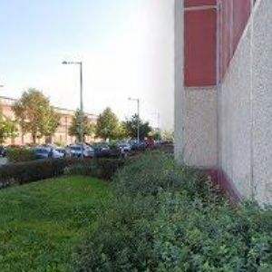 obrazek: avatar ECOTERM