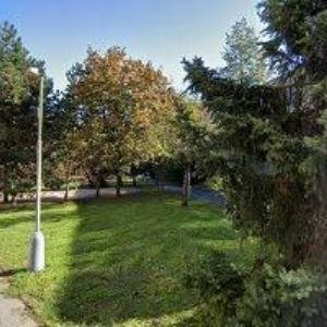 obrazek: avatar PALEČEK BOHUMÍR