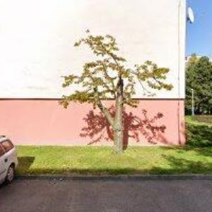 obrazek: avatar KREJČÍK STANISLAV