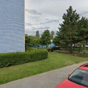 obrazek: avatar ČEKAN JOSEF