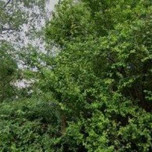 obrazek: avatar POSTRÁNECKÝ PETR