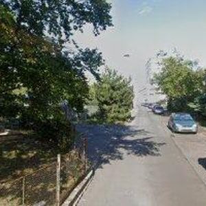 obrazek: avatar OTTA MARTIN