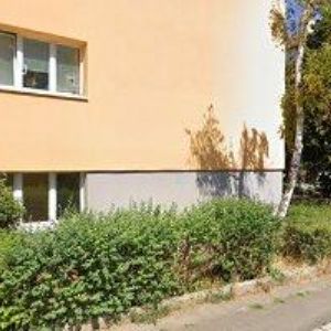 obrazek: avatar KOCOUREK RADEK