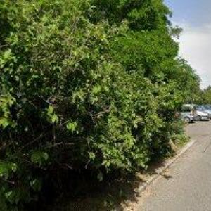 obrazek: avatar REICH PETR