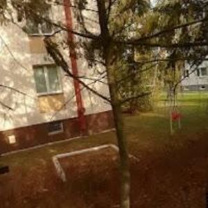 obrazek: avatar VANĚK TOMÁŠ