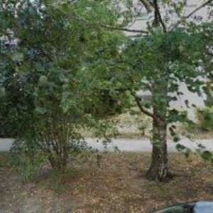 obrazek: avatar KUŽELKA ZDENĚK