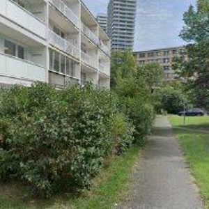 obrazek: avatar ŠTUKSA JAN