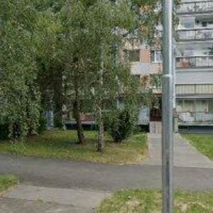 obrazek: avatar DIVIŠ JAN