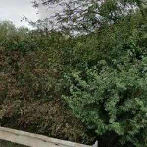 obrazek: avatar POTRAVINÁŘSKÉ STROJE s.r.o.