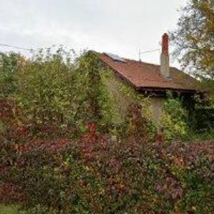 obrazek: avatar ARBEA, s.r.o.