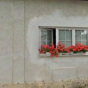 obrazek: avatar BELLAMIA, s.r.o.