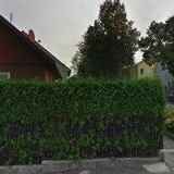 JANČOVIČOVÁ MIROSLAVA-KADEŘNICKÝ SALONEK