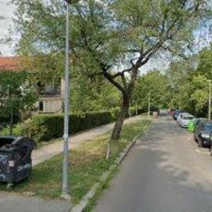 obrazek: avatar DALLIENTE