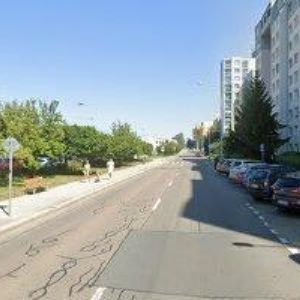 obrazek: avatar HOLÍKOVÁ PETRA