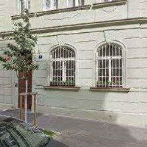 obrazek: avatar BARTOŠOVÁ PETRA-GOLD VISAGE