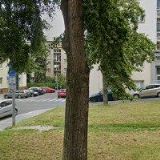 KADEŘNICTVÍ POD DRINOPOLEM