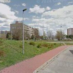 obrazek: avatar LUDWIGOVÁ JANA