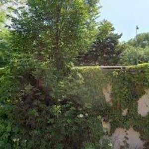 obrazek: avatar KADEŘNICTVÍ LIA