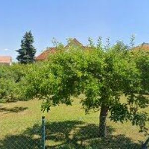 obrazek: avatar DOTLAČILOVÁ DANA