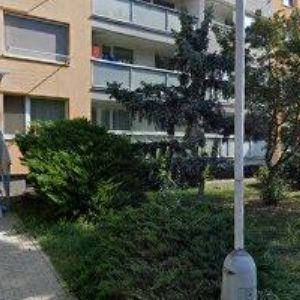 obrazek: avatar STUDIO MONEKA