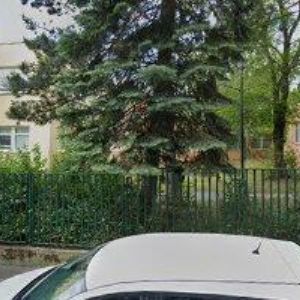 obrazek: avatar BOROVKOVÁ MARTINA