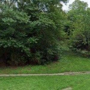 obrazek: avatar ČERVENÁ VĚRA