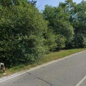 obrazek: avatar KOVAŘÍKOVÁ ANNA