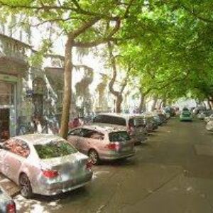 obrazek: avatar ČADKOVÁ IRENA