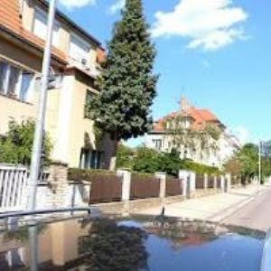 obrazek: avatar TRÁVNÍČKOVÁ JITKA