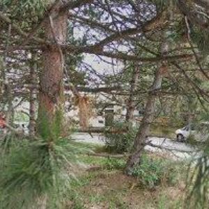 obrazek: avatar BODY & FACE CLINIQUE