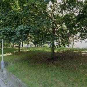 obrazek: avatar STUDIO VENDËA