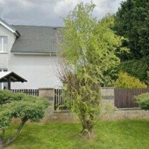 obrazek: avatar DANA KOSMETIKA