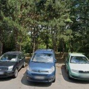 obrazek: avatar STUDIO-MARCELA