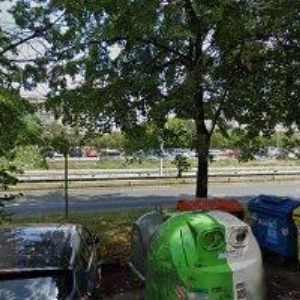 obrazek: avatar KUNICKÁ MICHAELA