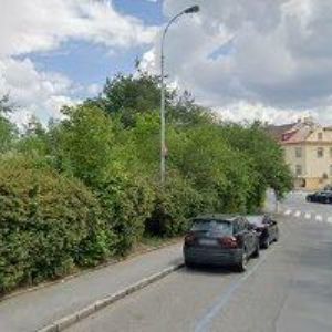 obrazek: avatar SÁDKOVÁ MAGDA