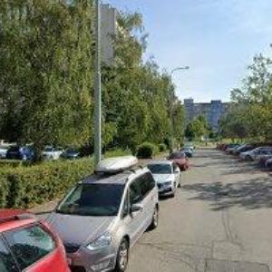 obrazek: avatar ŘASY A NEHTY MILENA