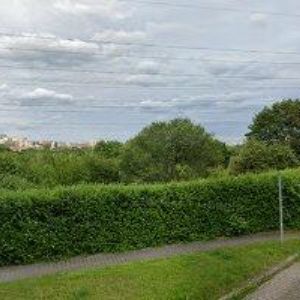 obrazek: avatar EHRENBERGEROVÁ ALEXANDRA