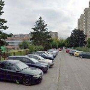 obrazek: avatar SCHUSTEROVÁ JANA