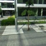 GYM PARK CHODOV s.r.o.