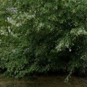 obrazek: avatar WANK spol. s r.o.