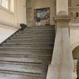 ČESKÁ SPOLEČNOST ENTOMOLOGICKÁ