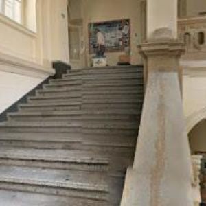 obrazek: avatar ČESKÁ SPOLEČNOST ENTOMOLOGICKÁ