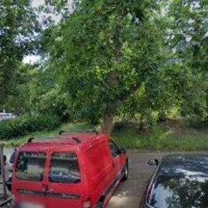 obrazek: avatar SVATBA V GRÉBOVCE