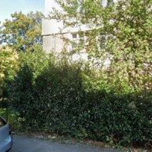 obrazek: avatar SVATBA TROCHU JINAK